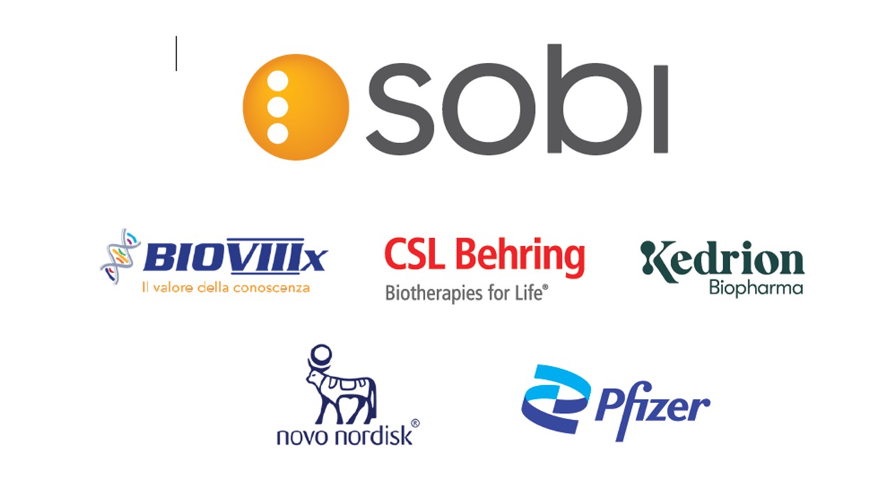 Logo SPONSOR 9_10_2026